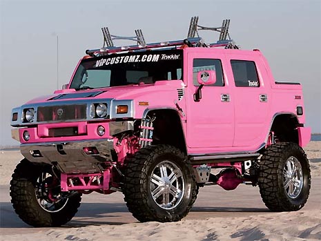 pink_hummer_02.jpg