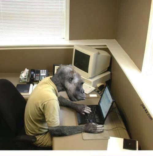 computer_monkey.jpg