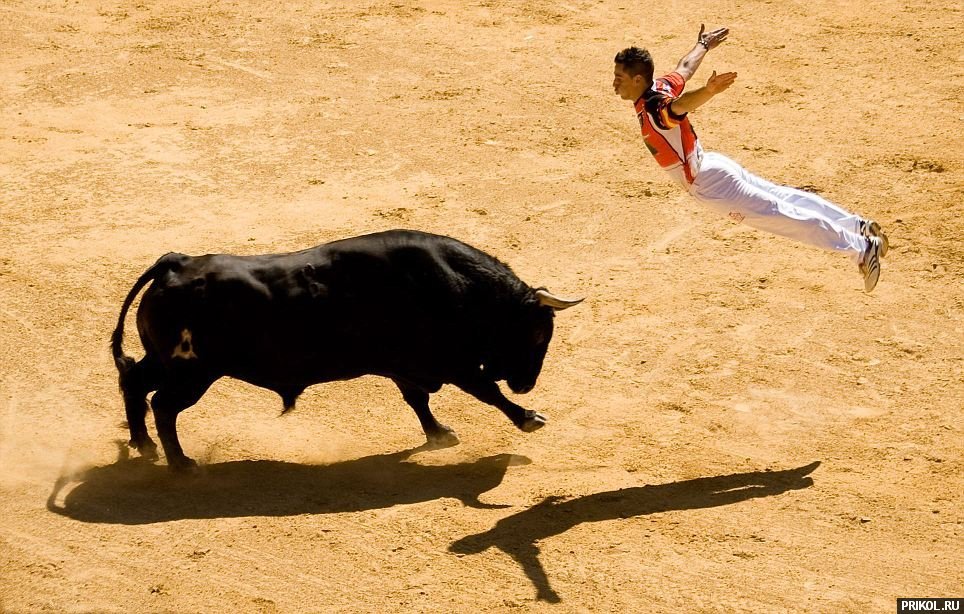 flying-torero-03.jpg