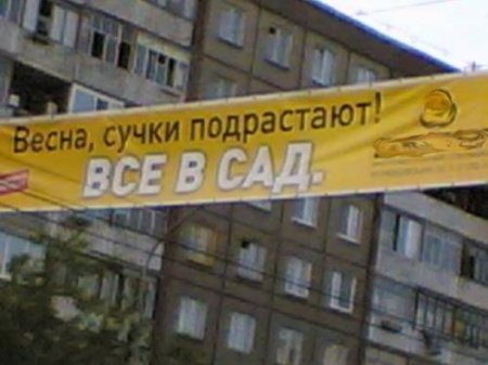 весна.jpg