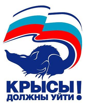 крысы.jpg