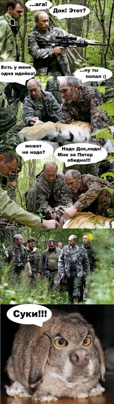 putin_tiger01.jpg