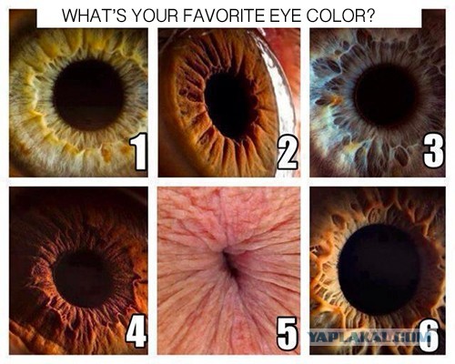 eyecolour.jpg